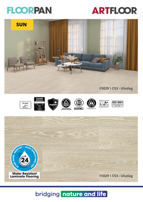 FS029 C53