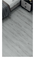 SILVER_-_5003_-_Liva_Mese