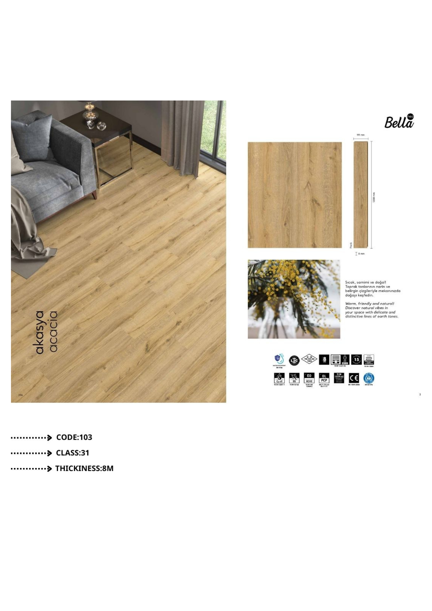 bella31-006